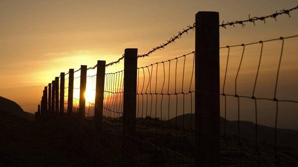 Farmers could 'be in big trouble' due to creosote ban, industry warns