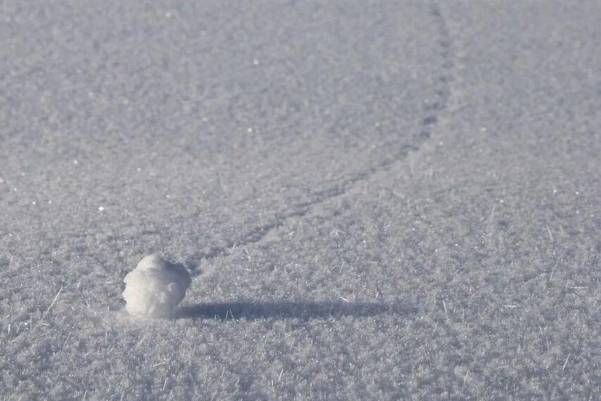 我买的雪球敲入了，300万灰飞烟灭