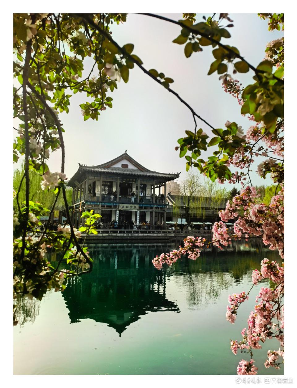 春暖花开游人如织，热闹的济南五龙潭公园